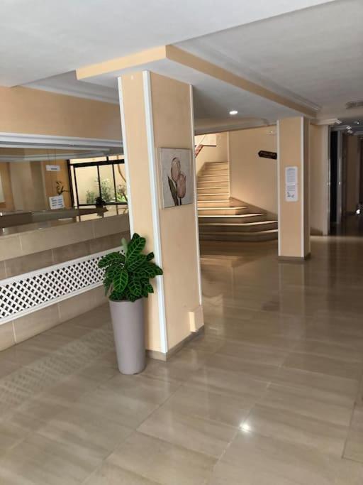Apartament Sunset Aliss Puerto de Santiago  Exterior photo